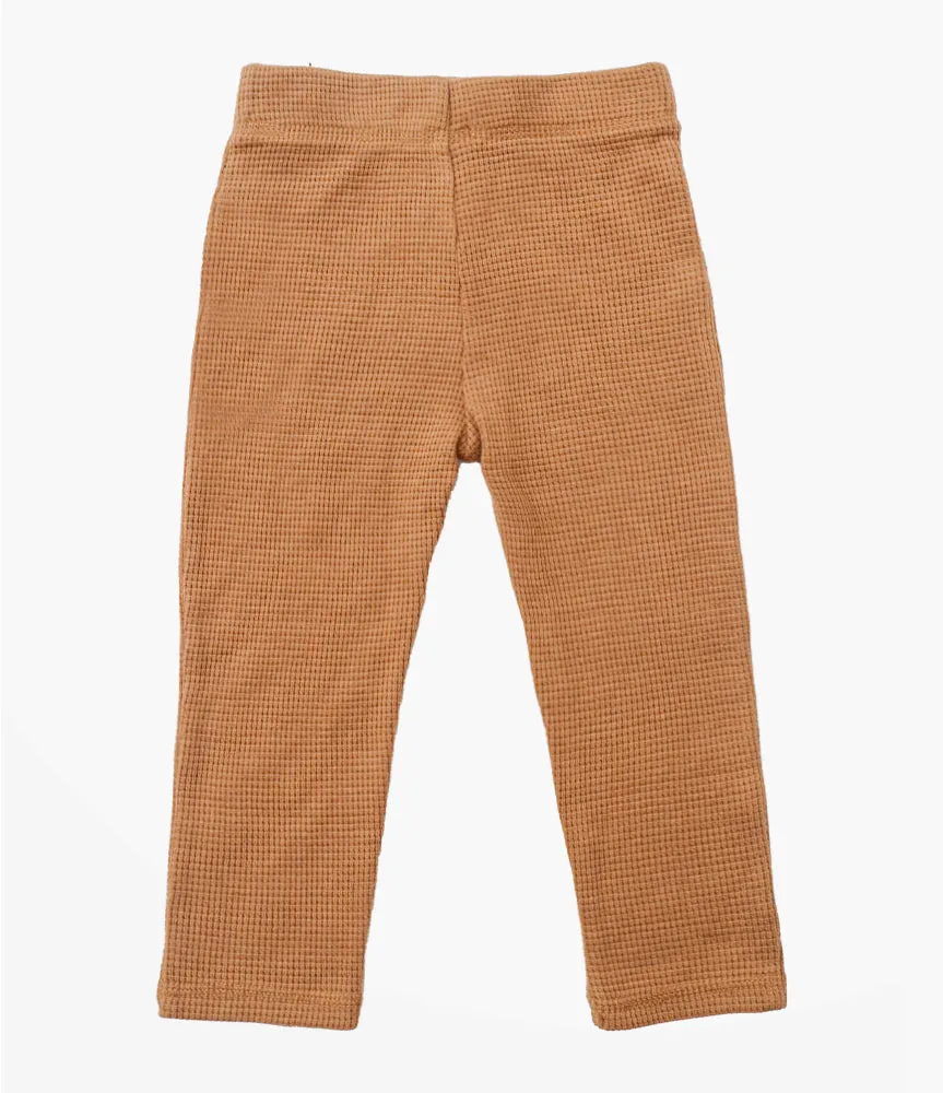 Baby Boys' Knit Pant - Brown