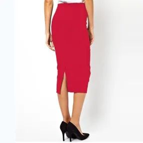 Back Pleat Zip Front Pencil Skirt